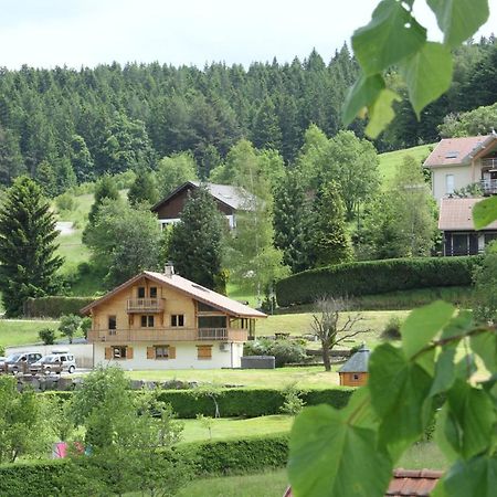 Chalet Centauree - Remy Herold Xonrupt-Longemer Exteriör bild