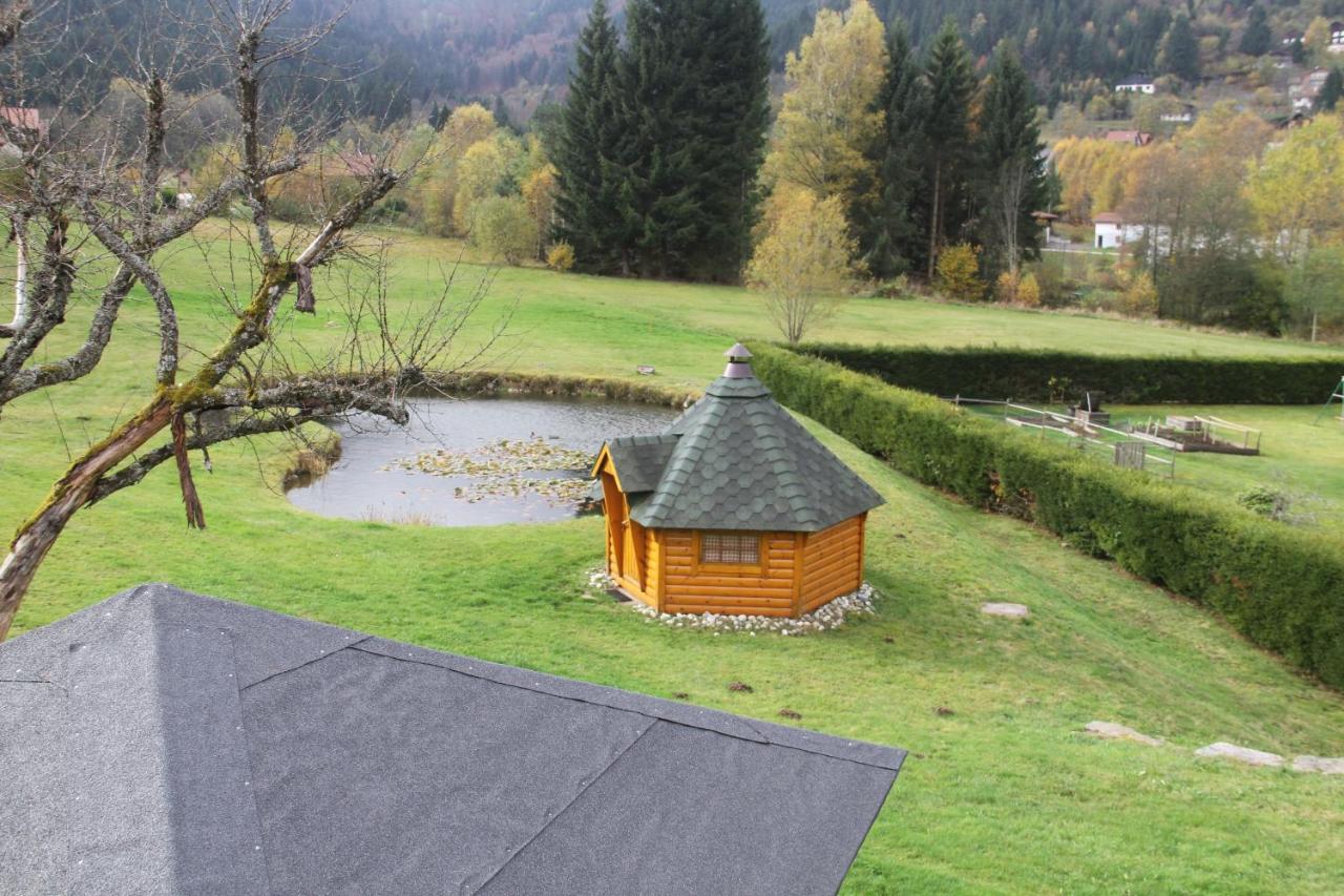Chalet Centauree - Remy Herold Xonrupt-Longemer Exteriör bild