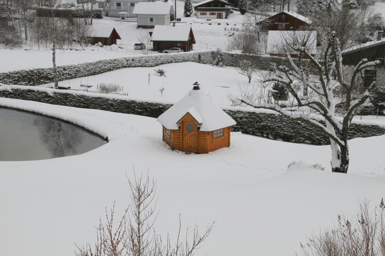 Chalet Centauree - Remy Herold Xonrupt-Longemer Exteriör bild